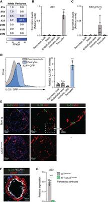 Pericytes modulate islet immune cells and insulin secretion through Interleukin-33 production in mice